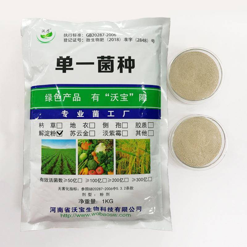 解淀粉芽孢杆菌